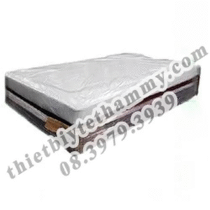 Giường Massage Thái Chân Gỗ TH-GG07